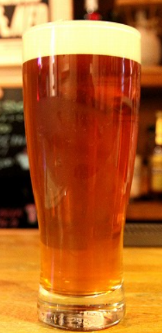 「家康B」HYAPPA BREWS