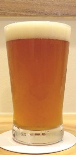 松戸ビール「UKON」