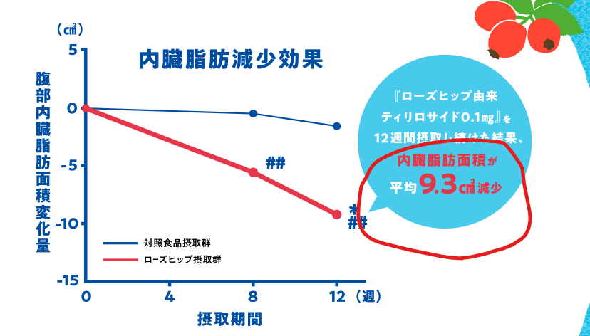 からだを想うオールフリー